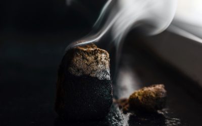 Benedizione di ambienti e terreni