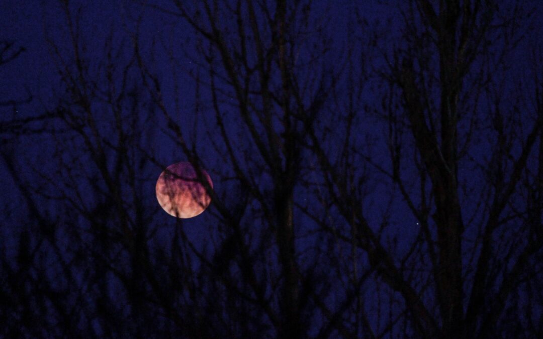 Chiedi alla Luna
